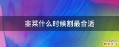 韭菜什么时候割最合适