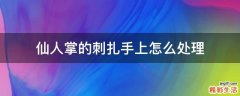 仙人掌的刺扎手上怎么处理