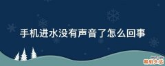 手机进水没有声音了怎么回事
