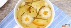 金银花和菊花的区别 菊花金银花哪个更去火