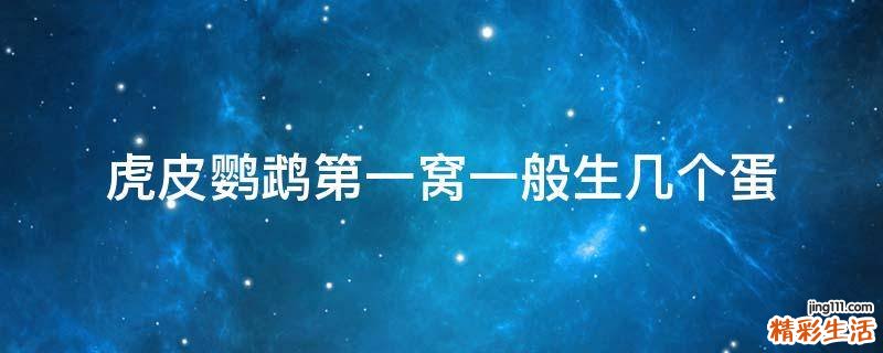 虎皮鹦鹉第一窝一般生几个蛋