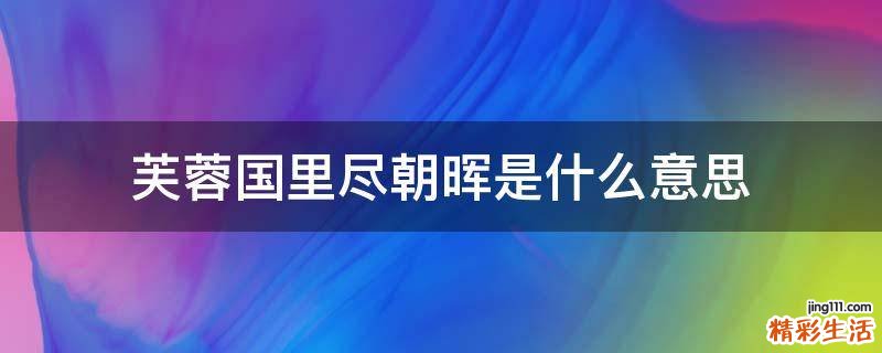 芙蓉国里尽朝晖是什么意思