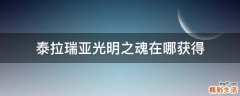 泰拉瑞亚光明之魂在哪获得
