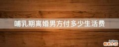 哺乳期离婚男方付多少生活费