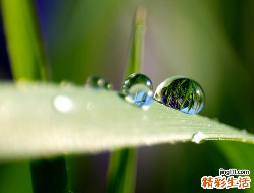 男士护肤的重要性_男士护肤为何重要