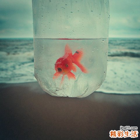 气味容易改变女人心情