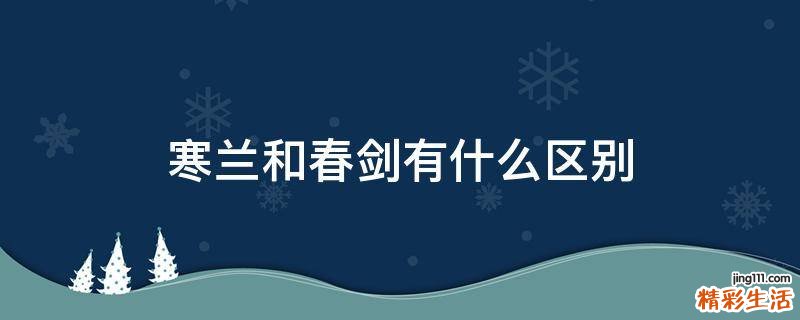 寒兰和春剑有什么区别