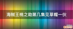 海贼王桃之助第几集见草帽一伙