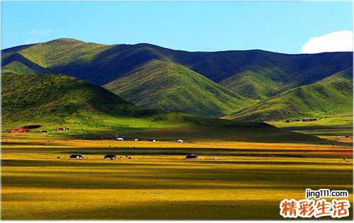 【能祛斑的食物】哪些食物可以祛斑呢