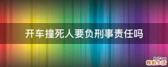 开车撞死人要负刑事责任吗