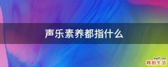 声乐素养都指什么