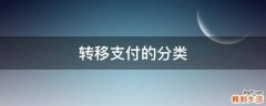 转移支付的分类