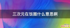 三次元在饭圈什么意思啊