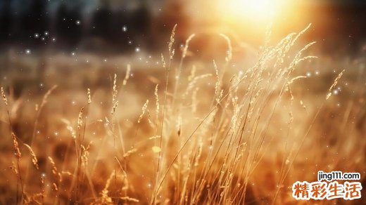 怎样预防胃梅毒，胃梅毒的护理