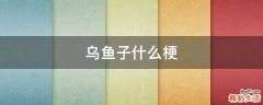 乌鱼子什么梗