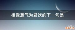 相逢意气为君饮的下一句是