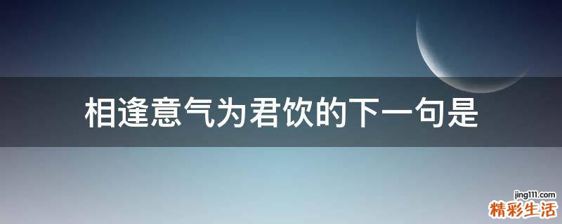 相逢意气为君饮的下一句是