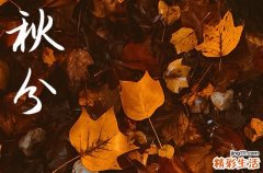 2023年秋分是什么时候几点几分 2023年秋分是9月23日14点49分46秒