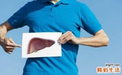 养肝护肝的方法 实用养肝小技巧