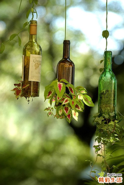 勿踩中近视手术的误区