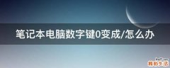 笔记本电脑数字键0变成/怎么办