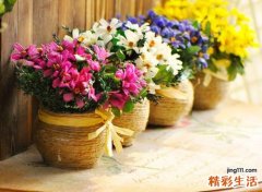 缓解眼疲劳 眼睛也需要“假期”