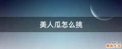 美人瓜怎么挑