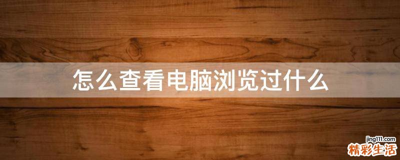 怎么查看电脑浏览过什么