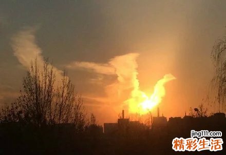 组织纤溶酶原激活物