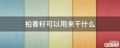 柏香籽可以用来干什么