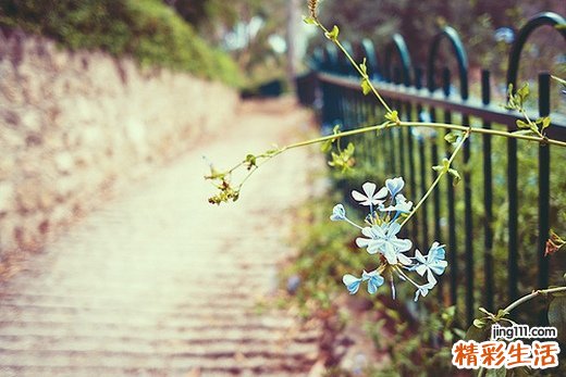 【怎么美白去黄】皮肤发黄 应该如何美白去黄