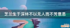 芝兰生于深林不以无人而不芳意思