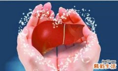 养肝护肝的方法 中医10个方法教你养肝护肝