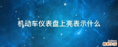 机动车仪表盘上亮表示什么