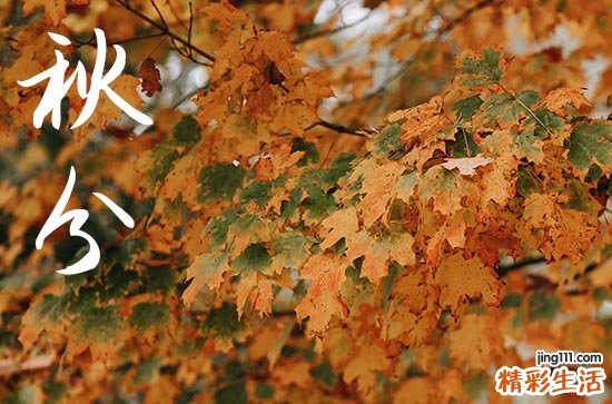 2023秋分丰收节放假吗 2023秋分丰收节放不放假放几天