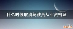 什么时候取消驾驶员从业资格证