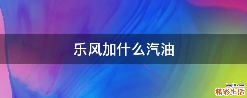 乐风加什么汽油