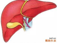 如何日常养肝 伤肝行为排行榜