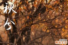 2023秋分是几点几分几秒 秋分具体准确时间点