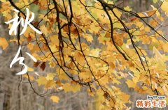 2023秋分是几时几分 2023的秋分是几时几分