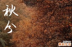 2023秋分吃什么传统食物北方 秋分这天北方人会吃这些美食