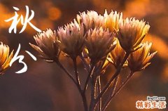 2023秋分下雨有什么说法 秋分下雨预示着什么