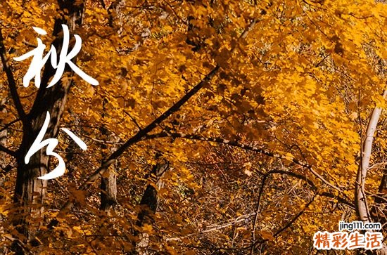 2023年秋分时间：2023秋分是几月几号