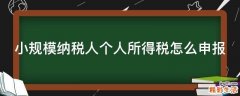 小规模纳税人个人所得税怎么申报