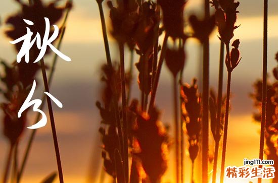 2023秋分是哪一天 2023秋分是几点几分