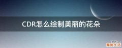 CDR怎么绘制美丽的花朵