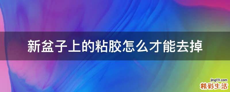新盆子上的粘胶怎么才能去掉