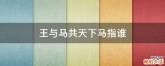 王与马共天下马指谁