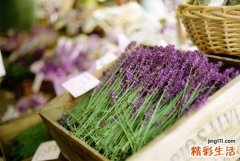 【如何进行食疗祛斑】怎样进行食疗祛斑