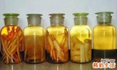 气血不足用什么泡药酒 什么药酒补气血